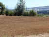 site-preparation-raglan