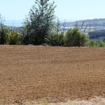 Section cleared and finished with powerharrow Earthworks & Excavation