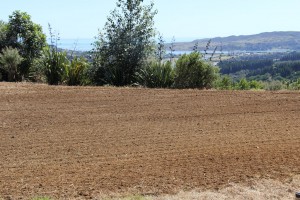 Powerharrow7