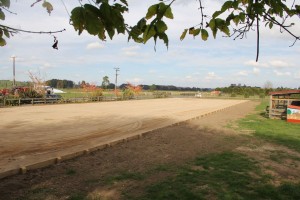Equestrian arena plinth