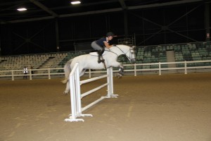 Katie McVeen Showjumping
