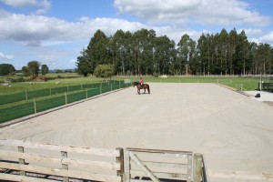Completed arena In use Equestrian Arenas/Training Tracks
