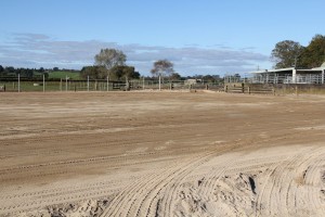 Sand base for feed pad