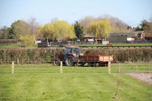 IMG_2390