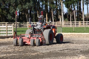IMG_2481