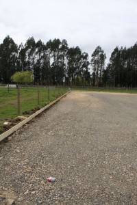 IMG_2511