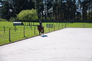 IMG_2681