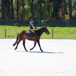 Even surface for riding Finished Arena