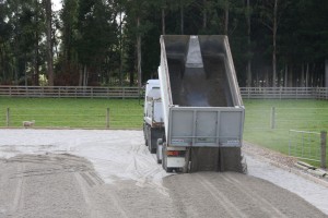 IMG_3341