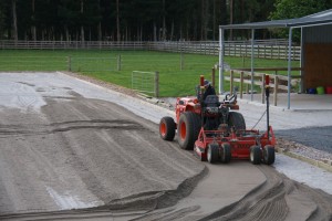 IMG_3352