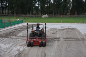 IMG_3354