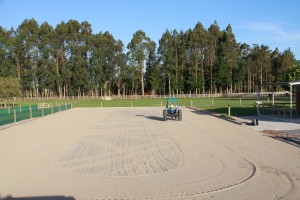 IMG_3448