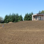 Debris is removed and land prepared for seeding Land Cleared and power harrowed read for seeding