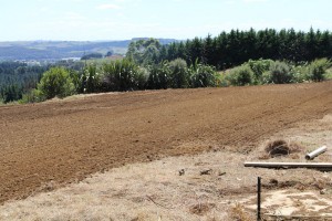 Powerharrow8