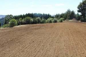 Powerharrow9