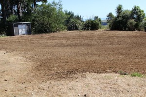 Field