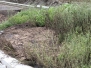 Effluent Ponds